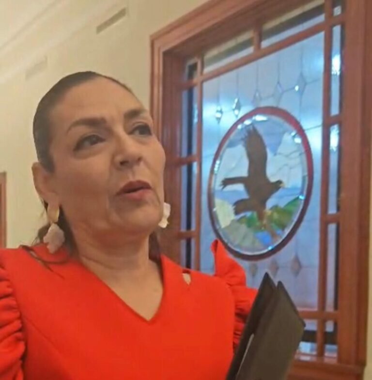 IEE no ha recibido solicitud formal para consultar matrimonio igualitario: Yanko Durán