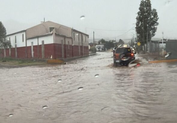 Lluvias dejan inundaciones, árboles caídos y rescate de menor en Ciudad Juárez*
