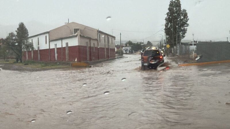 Lluvias dejan inundaciones, árboles caídos y rescate de menor en Ciudad Juárez*