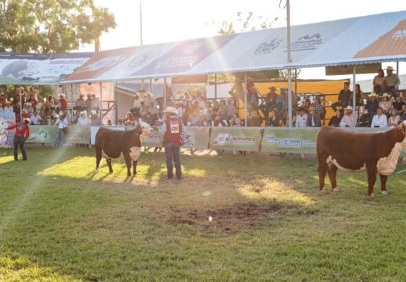 ¡Vuelve la tradición! ExpoGan Chihuahua 2026 se celebrará del 22 de octubre al 1 de noviembre