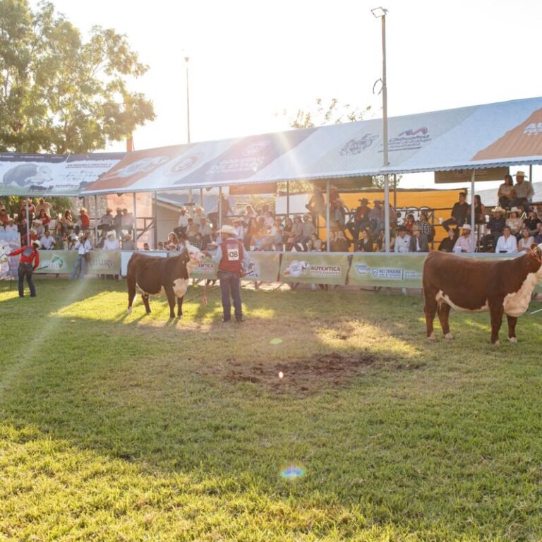 ¡Vuelve la tradición! ExpoGan Chihuahua 2026 se celebrará del 22 de octubre al 1 de noviembre