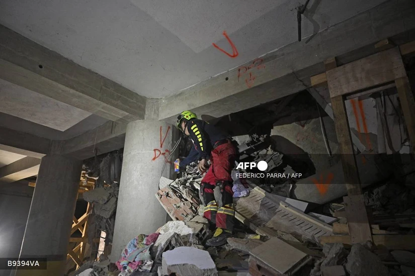 Durante ocho días, Hernán Gil permaneció atrapado bajo toneladas de concreto en Venezuela. Cuando parecía que ya no había esperanza, Halley, una perrita de la Cruz Roja Mexicana, detectó la única señal de vida. Foto: AFP