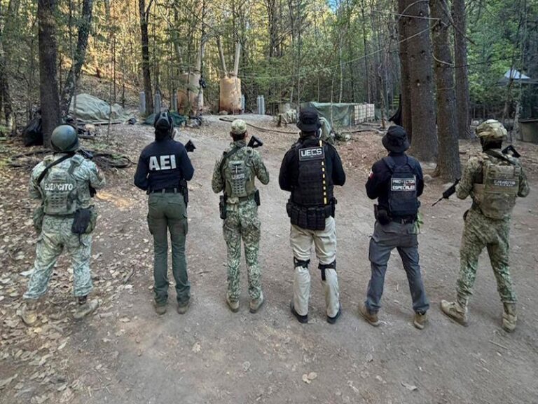 Autoridades mantienen operativos contra el narcotráfico en distintos municipios de Chihuahua