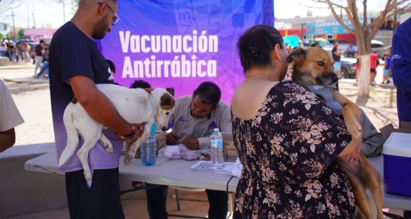 Llama Estado a prevenir enfermedades transmitidas por animales en el Día Mundial de la Zoonosis
